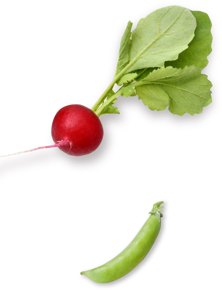 季節野菜